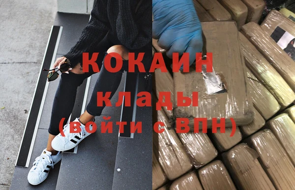 дживик Аркадак