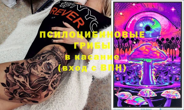 ПСИЛОЦИБИНОВЫЕ ГРИБЫ Балабаново