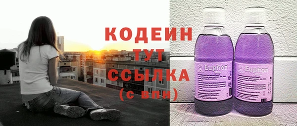трава Дегтярск