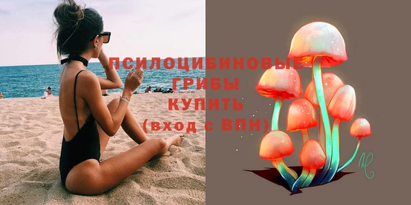mdpv Армянск